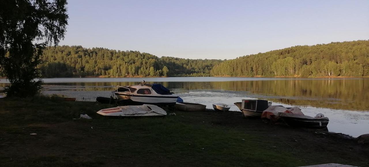 Apartmani Nini Vlasina Власина-Рид Экстерьер фото